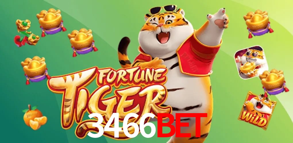 Experiência VIP 3466BET